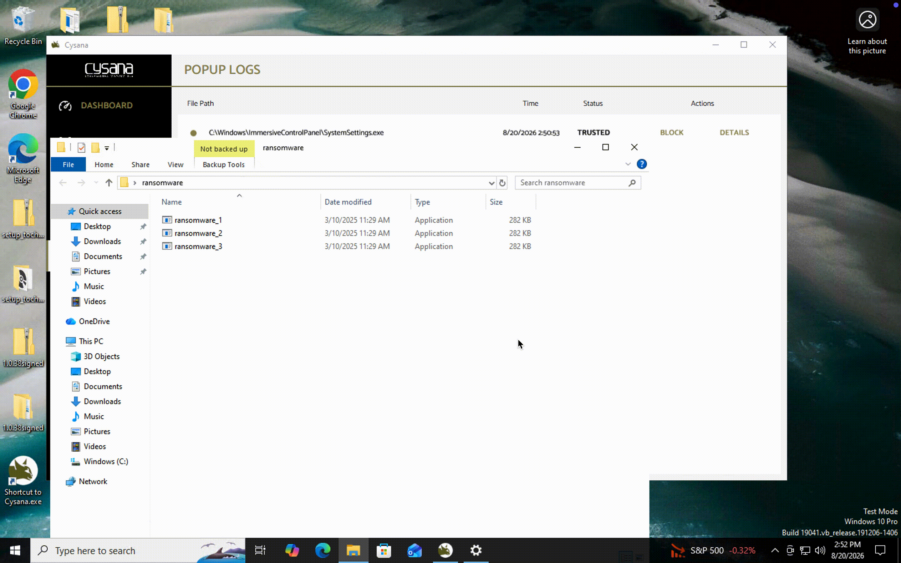 Ransomware detector animation